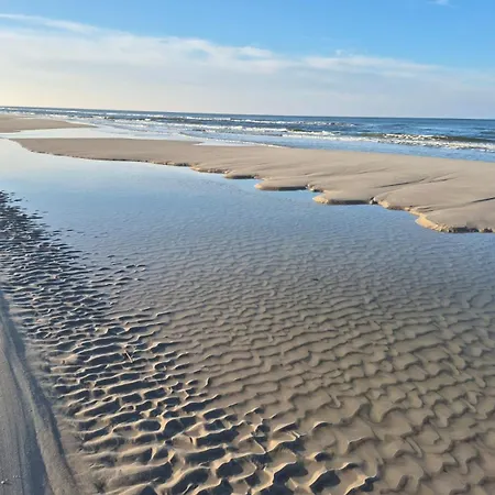 Lawendowe * 萨希诺