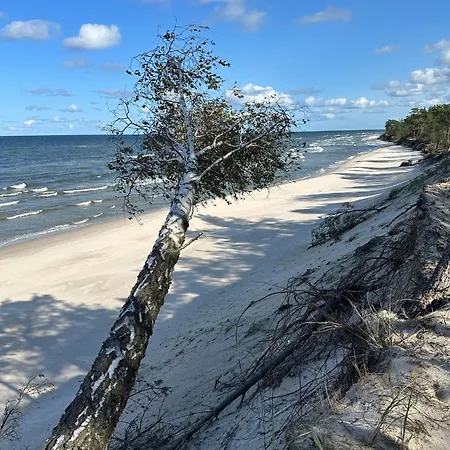 Lawendowe Casa de Férias