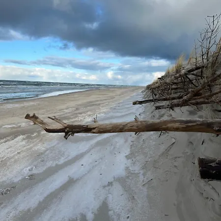 Lawendowe * 萨希诺