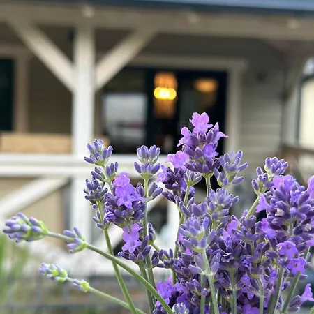 Casa de Férias Lawendowe Sasino